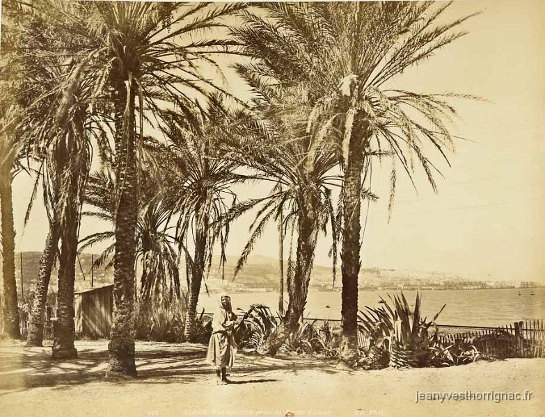 Alger vue prise du jardin d essai mars 1888.jpg - Alger vue prise du jardin d'Essai. Mars 1888. (BNF)